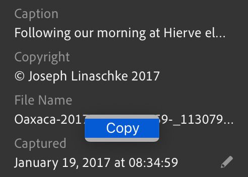 Lightroom CC info panel