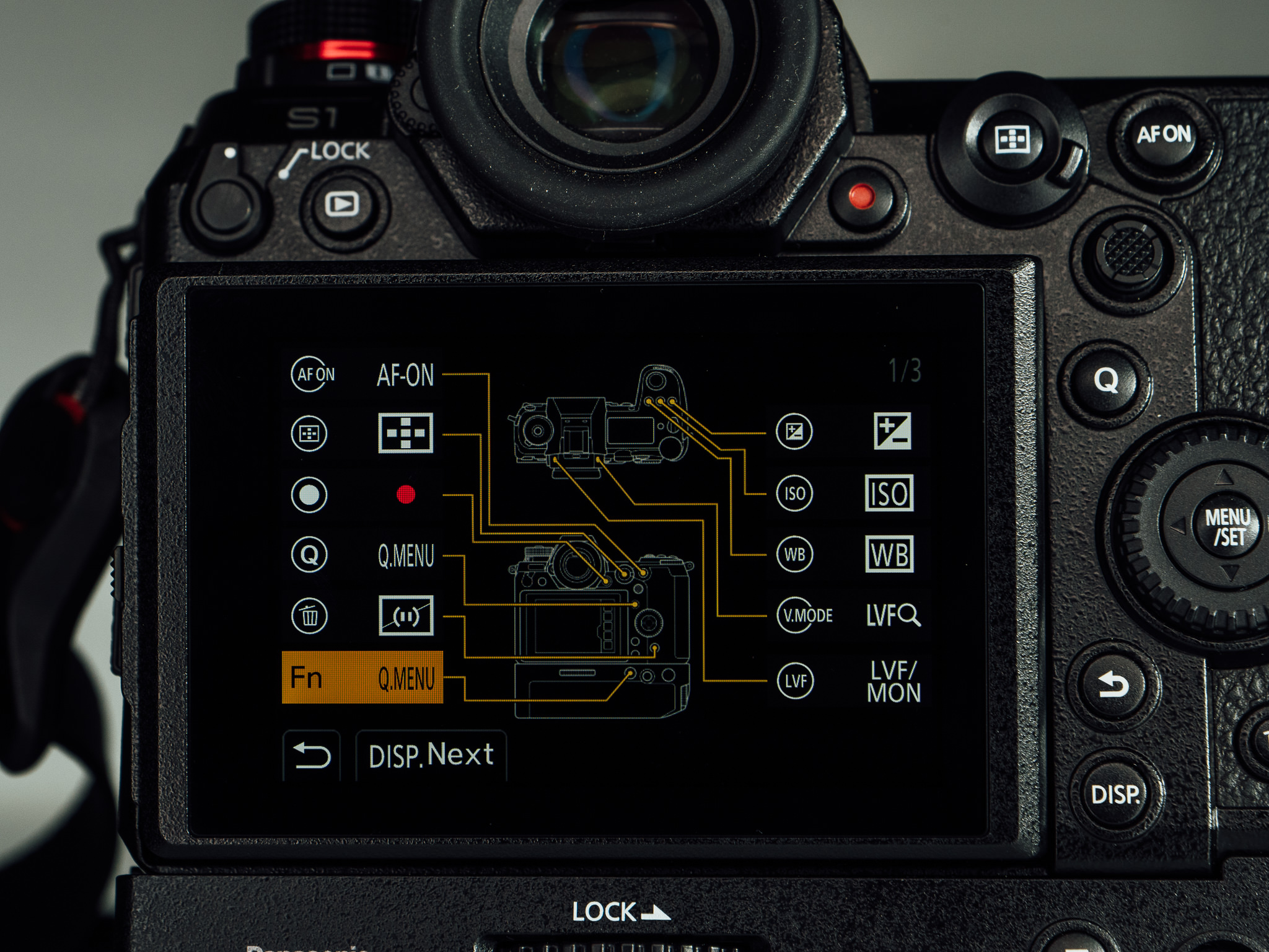 The Fn button on the BGS1 is programmable in the Gear (Custom) > Operation 1 > FN Button Set menu