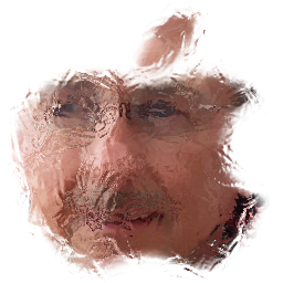 tampaappleman