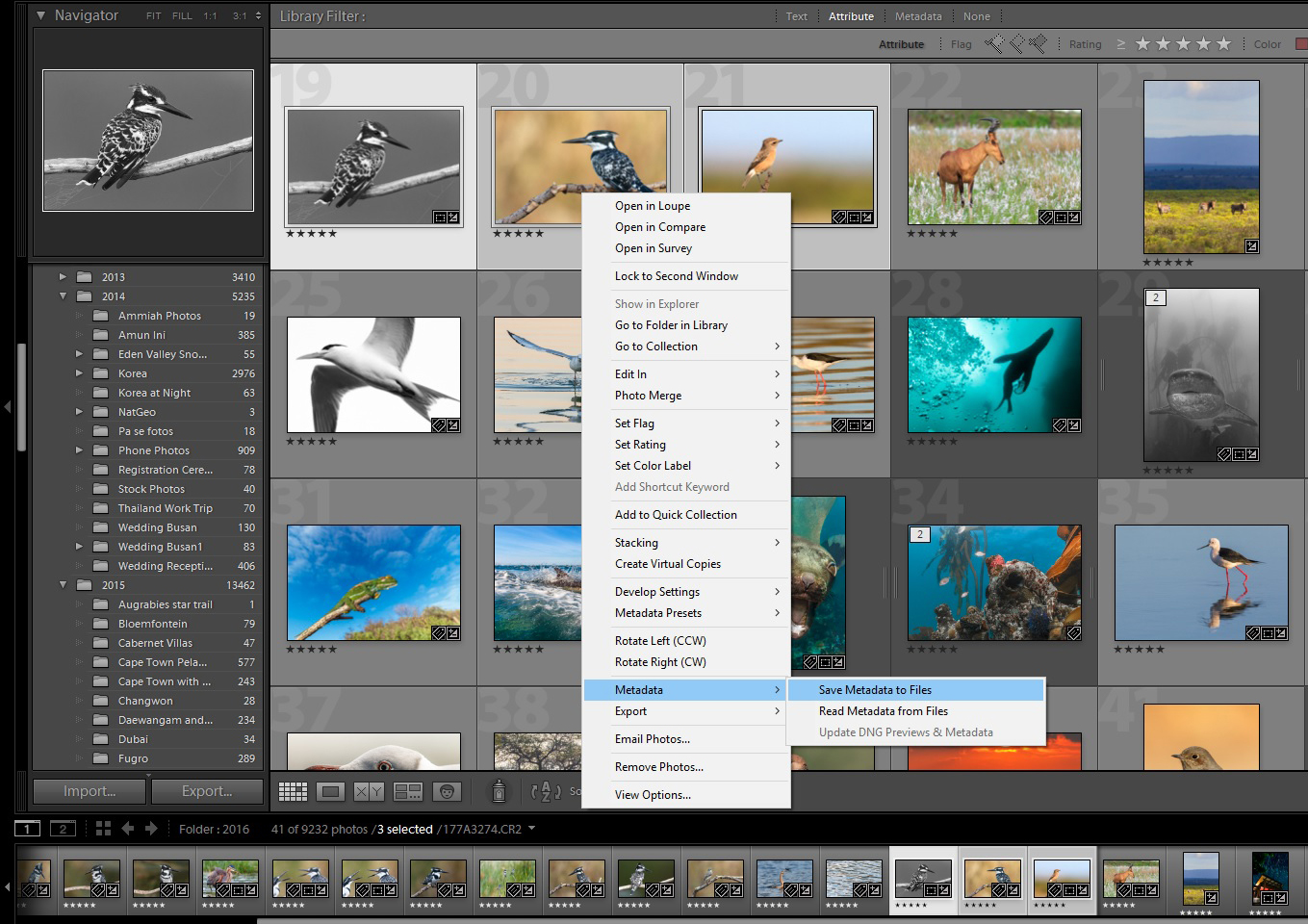 Manually save metadata to file in Adobe Lightroom