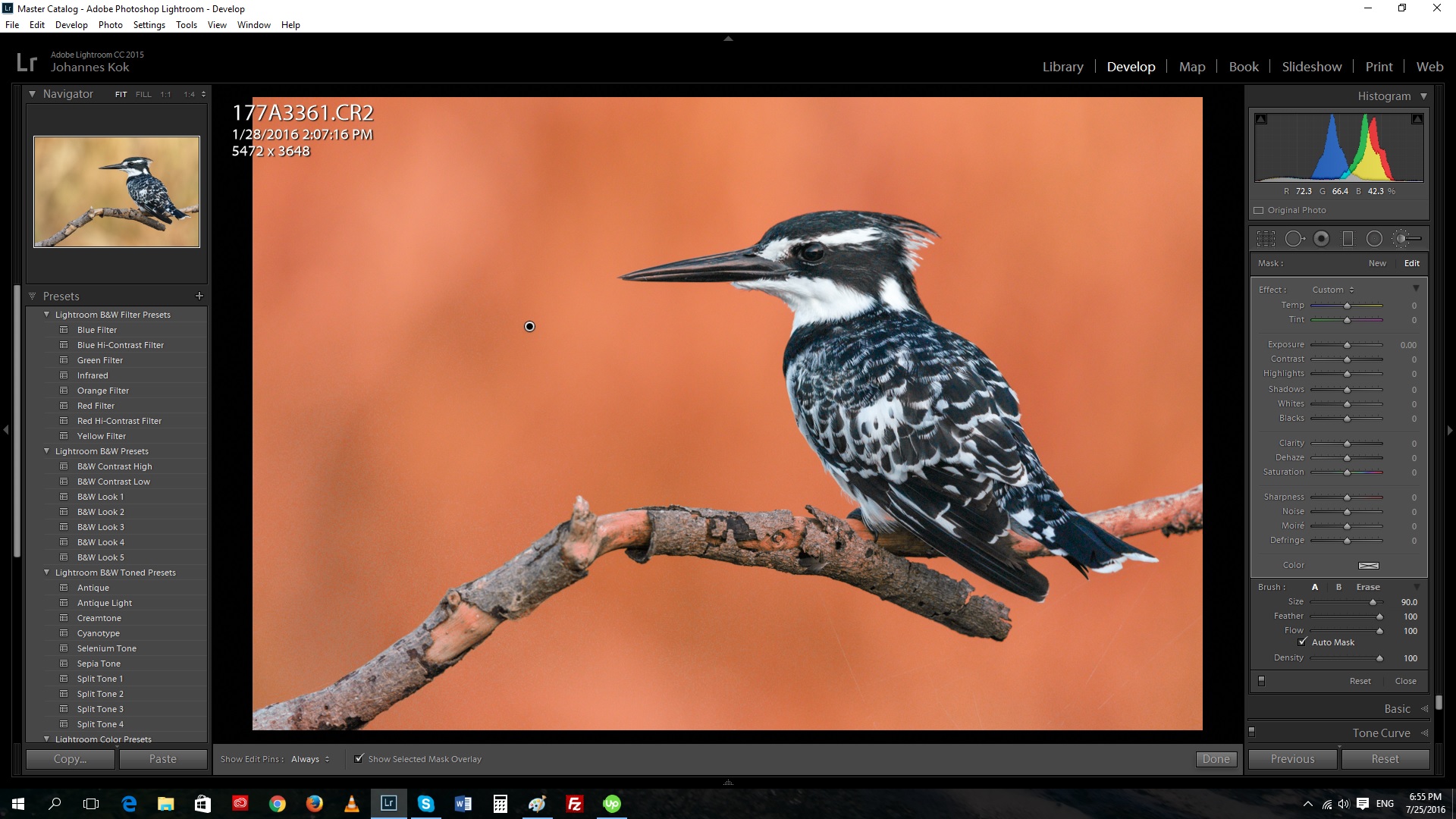 Initial auto mask with some unwanted areas of the branch also selected