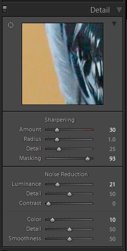 Global noise reduction in Lightroom